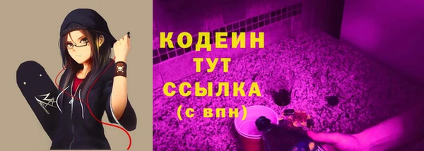 соль ск Ладушкин