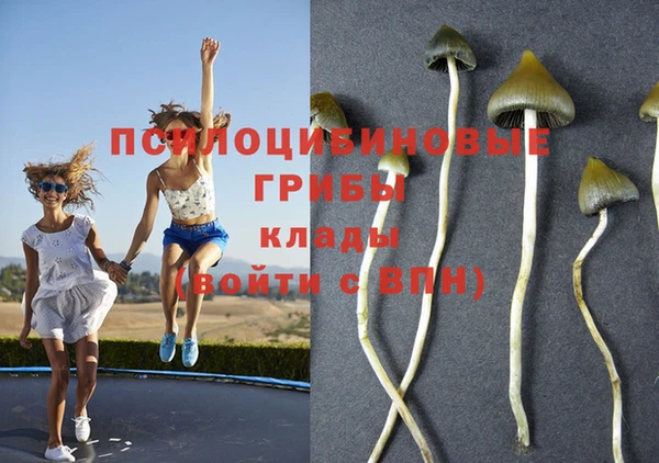 соль ск Ладушкин