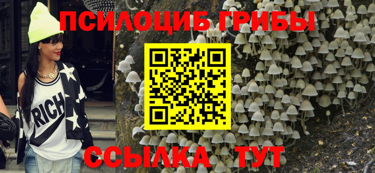 Галлюциногенные грибы прущие грибы  магазин  наркотиков  Псилоцибиновые грибы Psilocybine cubensis  Тейково 